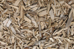 biomass boilers Cogenhoe